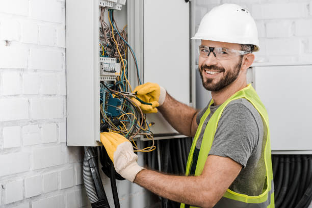 Best Electric Panel Repair  in Pandora, OH
