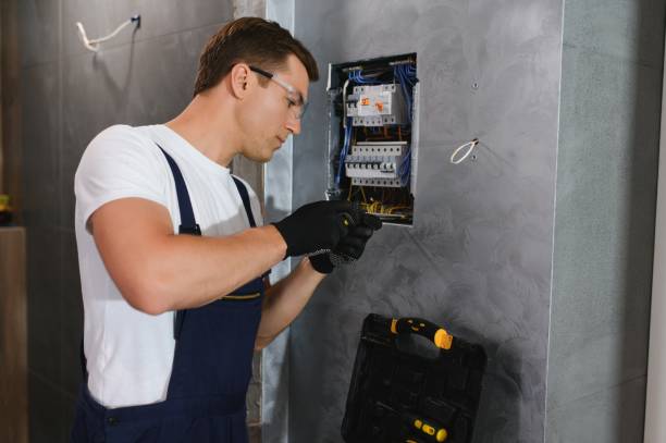 Best Home Electrical Repair  in Pandora, OH